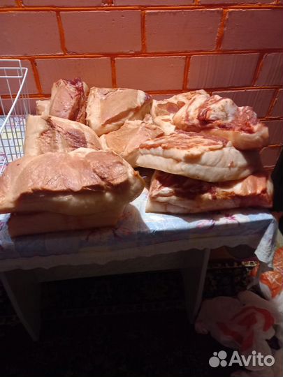 Продам сало домашнее