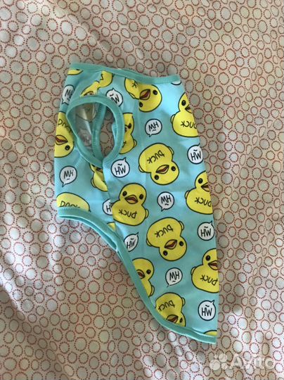 Одежда для собак