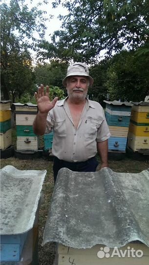 Продаю целебный мёд 2023 года со своей пасеки