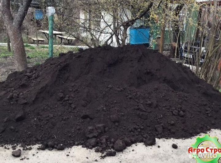 Чернозем