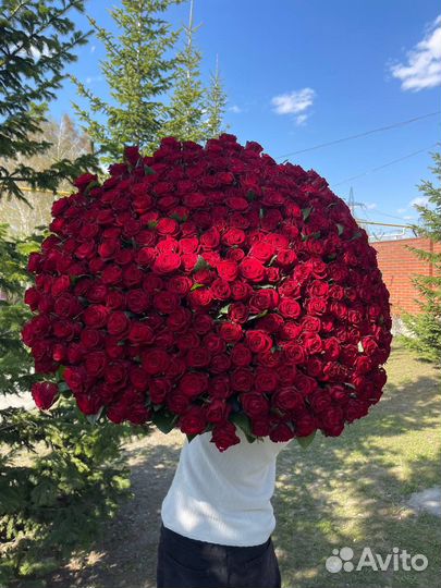 301 роза с доставкой до квартиры