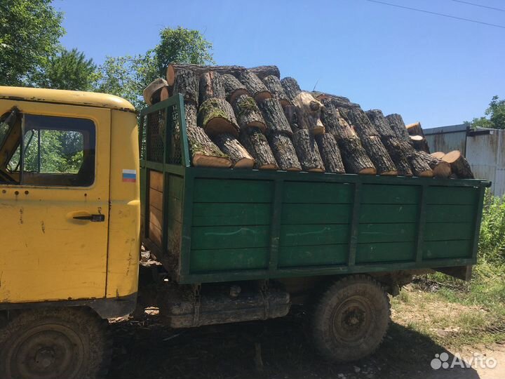 Дрова колотые дуб