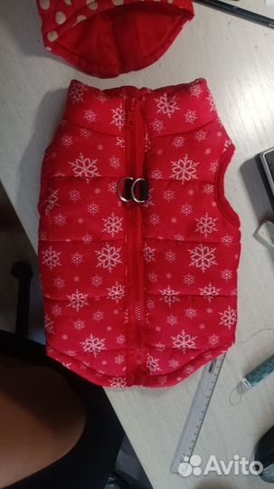 Одежда для собак