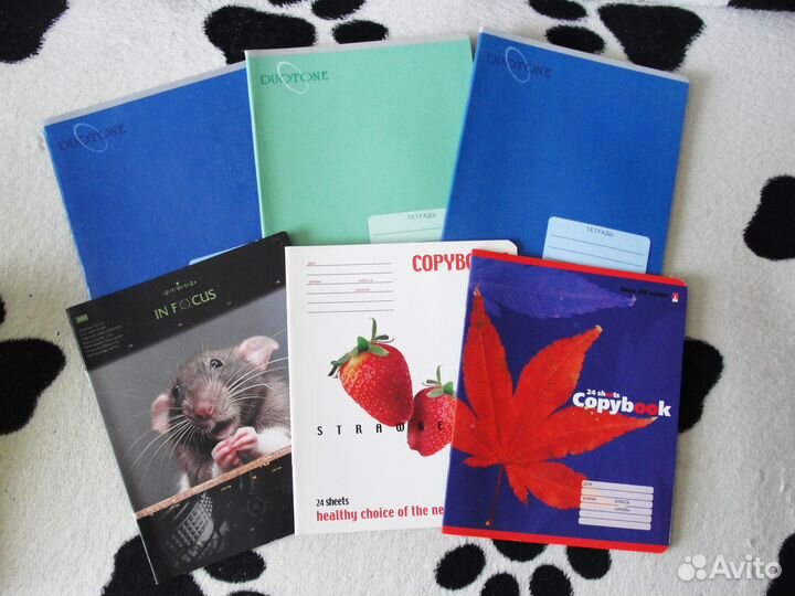 Красивые тетради и школьные дневники