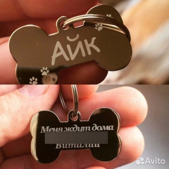 Адресник для животных