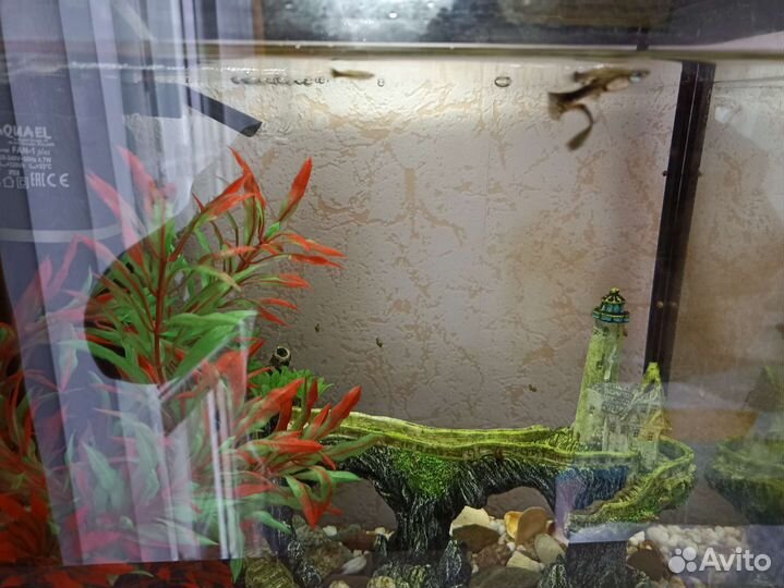 Аквариум