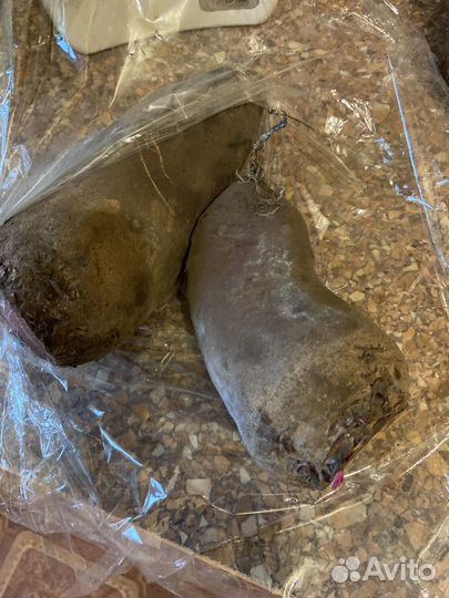 Свекла свежая, столовая