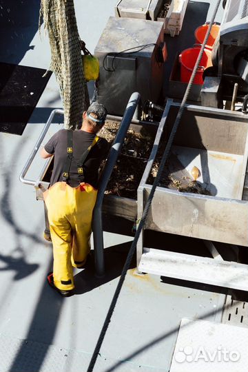 Морские документы оформление с нуля,улм