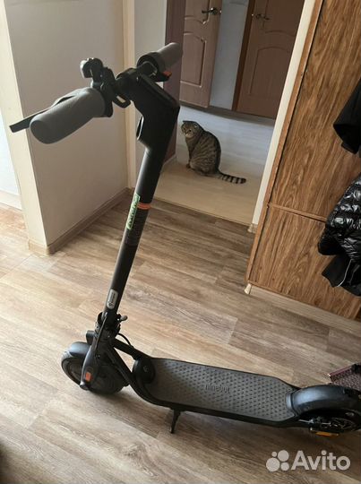 Самокат Ninebot f20a