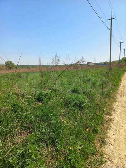 Участок 15 сот. (СНТ, ДНП)