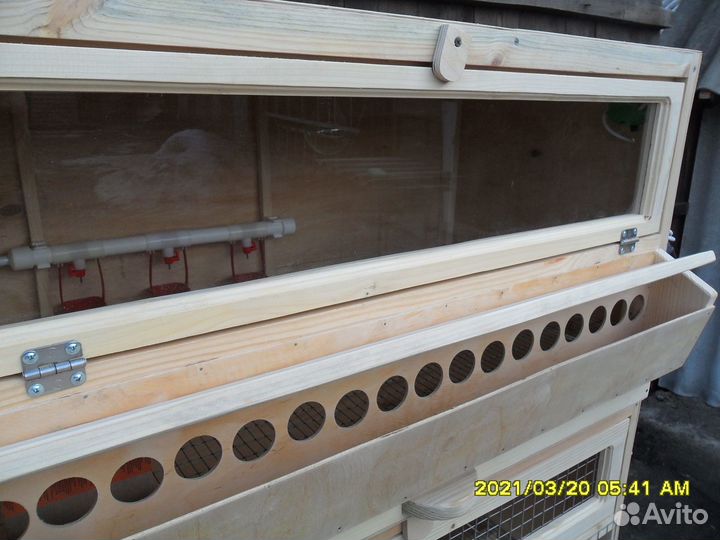 Брудер для суточной домашней птицы