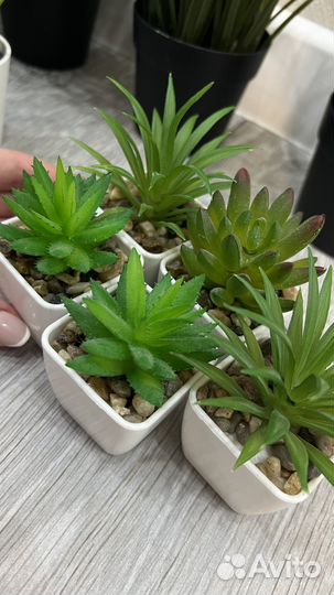 Декоративные растения искусственные