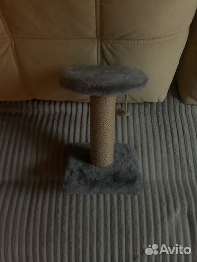 Когтеточка