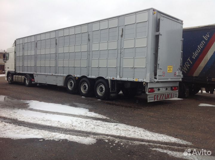 Перевозка скота крс,Коров,Быков, Нетелей,Телят,Лош