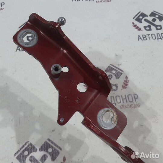 Петля капота правая Bmw X6 E71 N54 2008