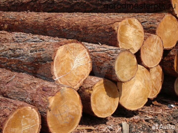 Рамщик(подрамщик)