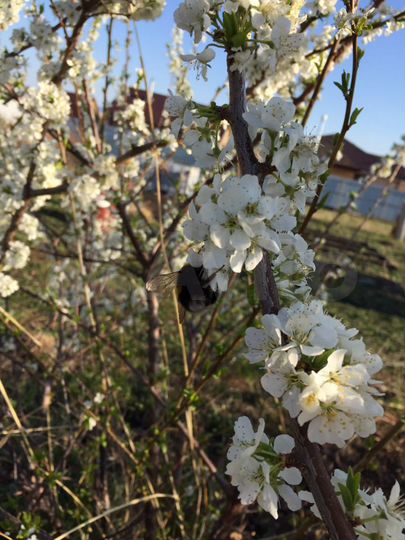 Дача 45 м² на участке 15 сот.