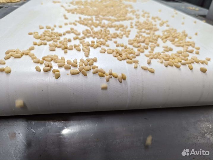 Ядро кедрового ореха