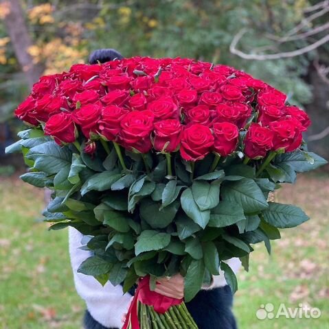 Розы. Цветы с Доставкой