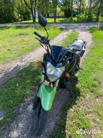 Рейсер нитро 250