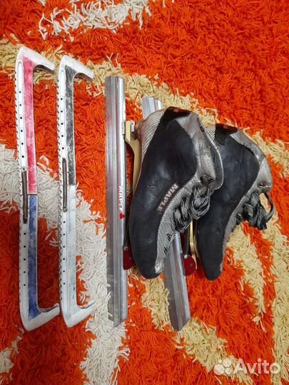 Конькобежные коньки