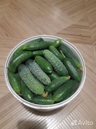 Корнишоны, огурцы для засолки