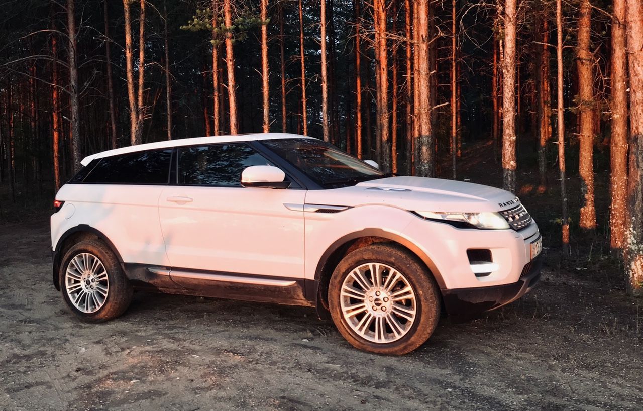 Land Rover Range Rover Evoque: фото владельца