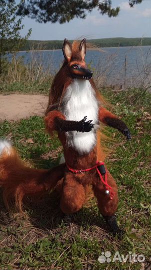 Лис трёх хвостый