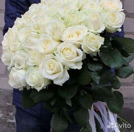 Розы Высокие 150см 160см 170см 180см 190см 2м