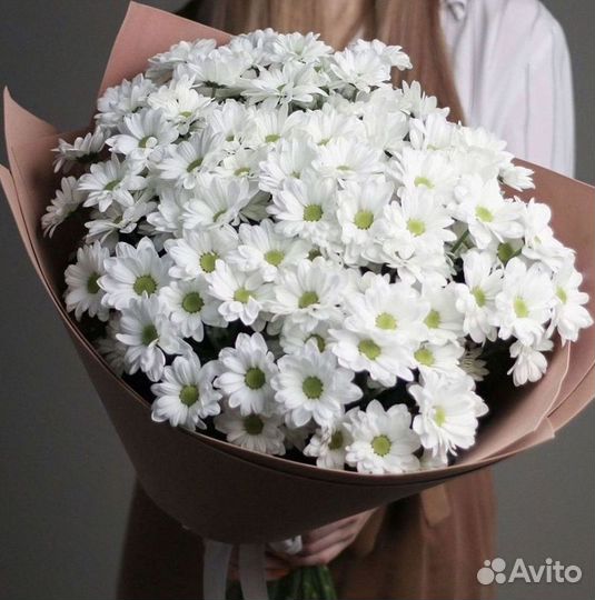 Хризантема Букет хризантем Доставка