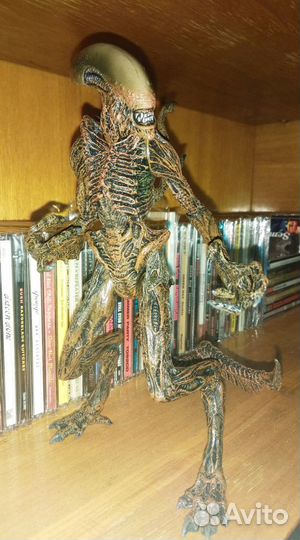 Alien McFarlane