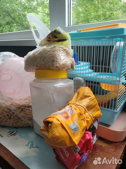 Клетка для хомячков-джунгариков (полный комплект)