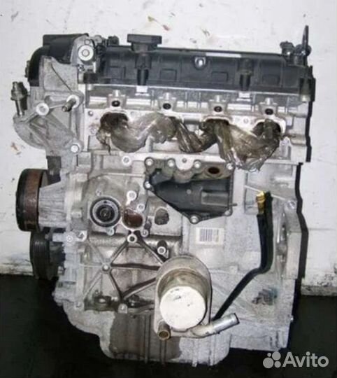 Двигатель Ford Mondeo 4 1.6