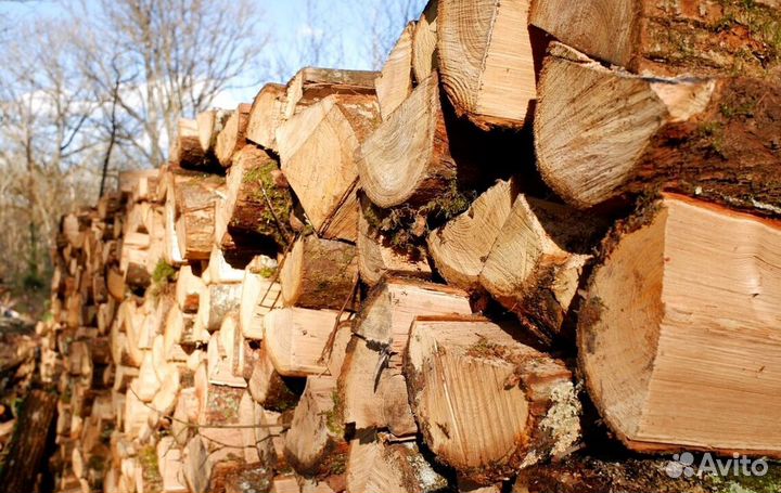 Дрова сегодня