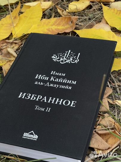Ибн Каййим аль-Джаузийя. Избранное 2 том