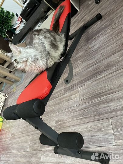 Скамья для пресса