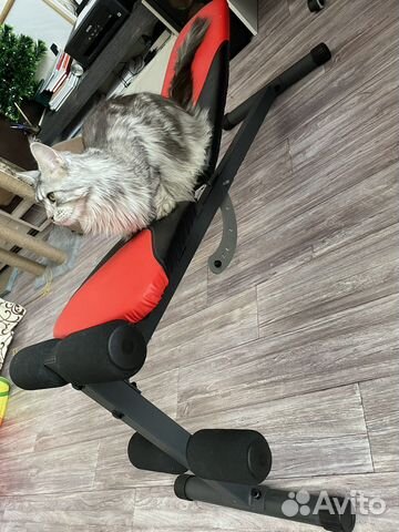 Скамья для пресса