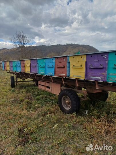 Пчелоприцеп