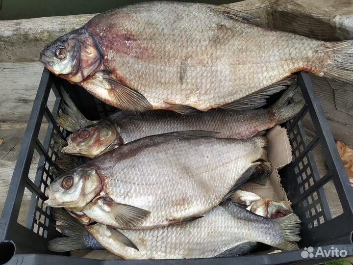 Вяленая рыба