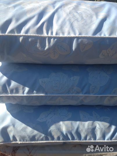 Земляной орех, миндаль Чуфа