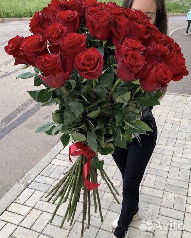 Метровые Розы