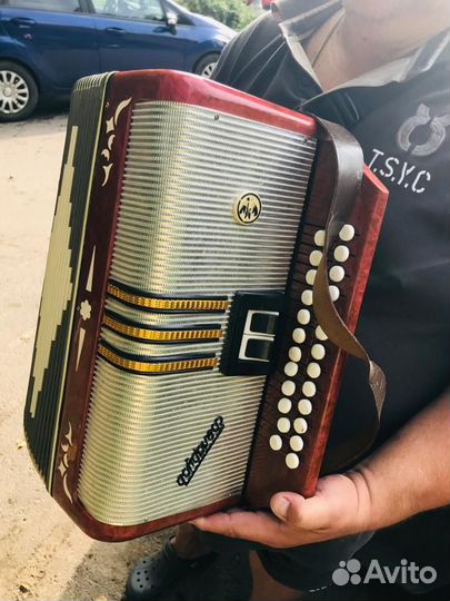 Баян, аккордеон, гармонь