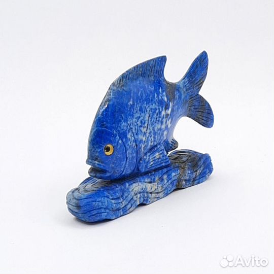 Лазурит рыбка