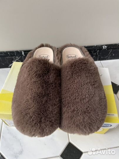 Тапочки sholl