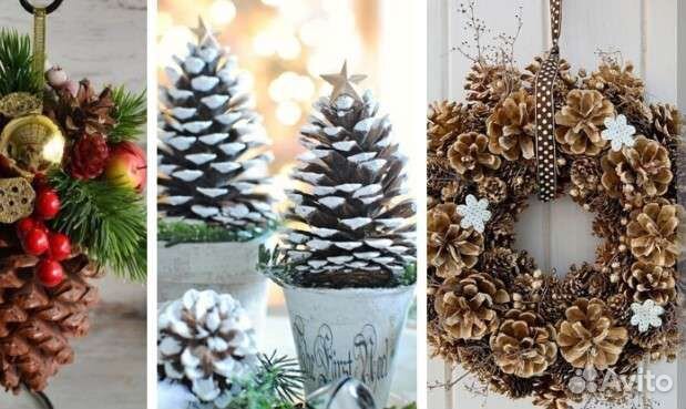 Шишки сосновые