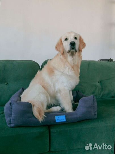 Лежанка для большой собаки