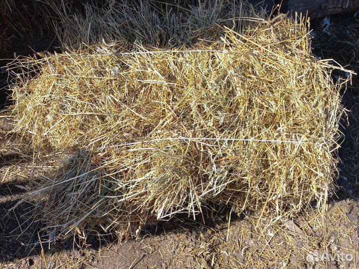 Сено в тюках