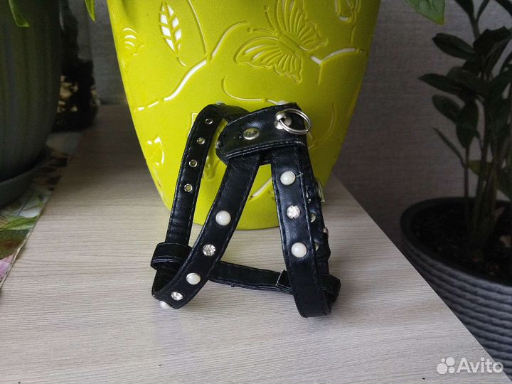 Шлейка для маленькой собаки