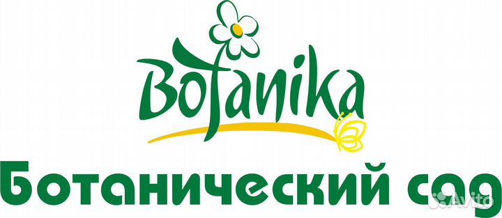 Экскурсовод-аниматор
