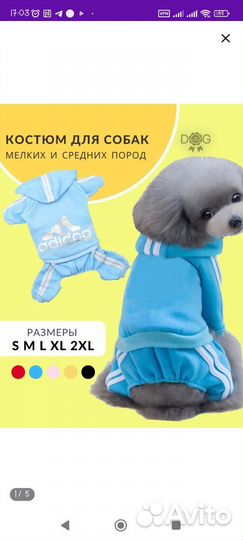 Костюм для щенка